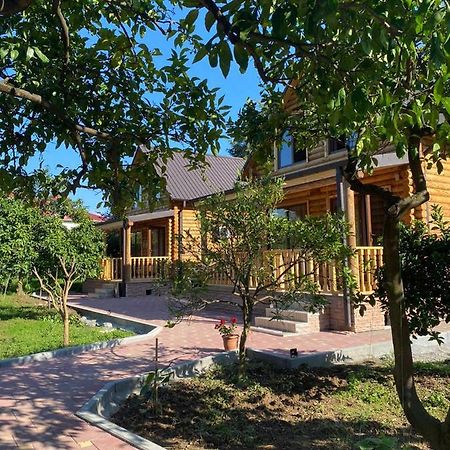 Guest House On Angisa باتومي المظهر الخارجي الصورة
