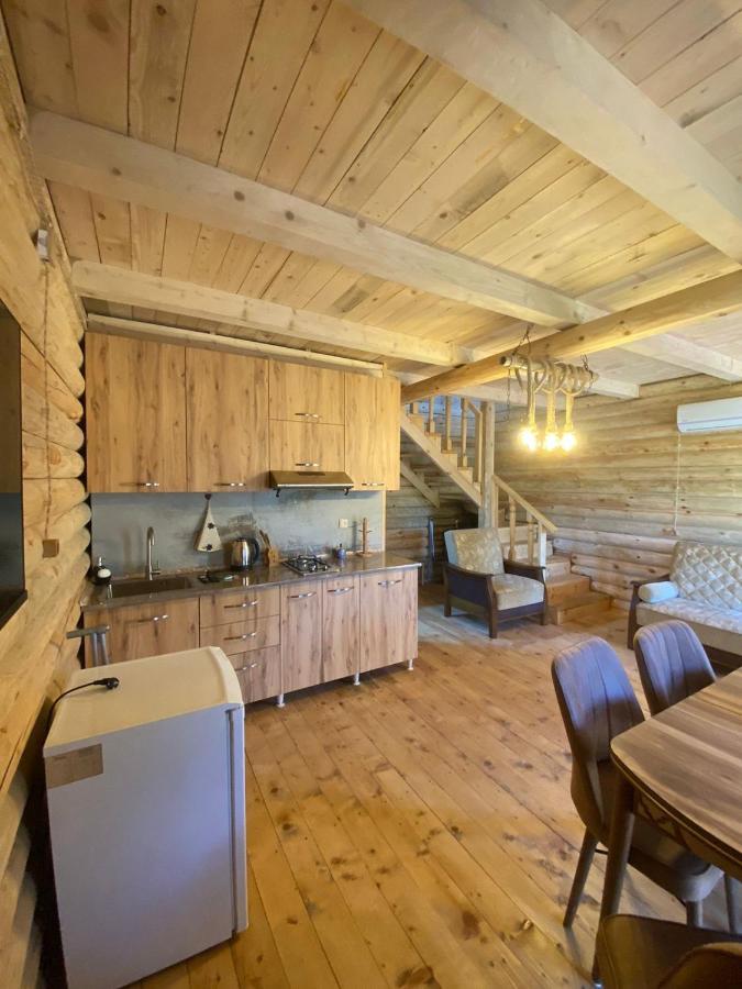 Guest House On Angisa باتومي المظهر الخارجي الصورة