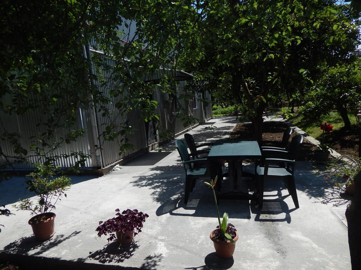 Guest House On Angisa باتومي المظهر الخارجي الصورة