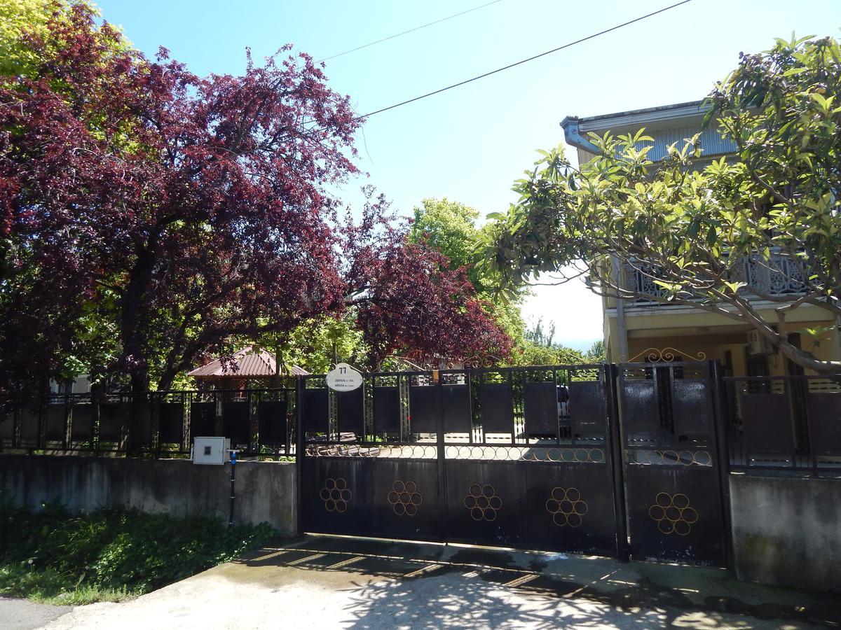 Guest House On Angisa باتومي المظهر الخارجي الصورة